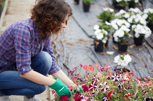 Different types of lawn mowers for various needs