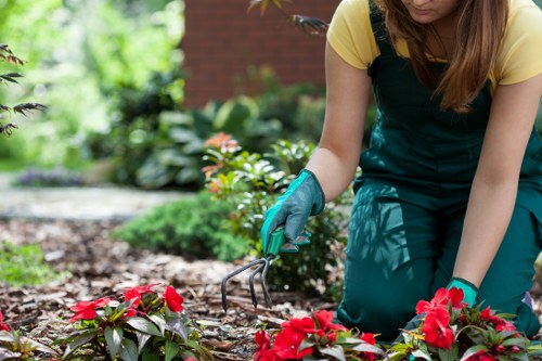 Inspection of gardening tools and contracts during a supplier audit