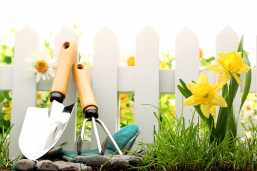 Professional garden clearance in Thamesmead