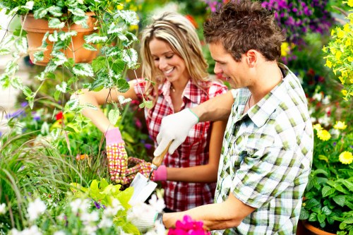 Garden makeover tools and soil bags by a suburban fence