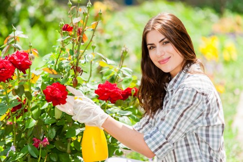 Eco-friendly garden clearance methods