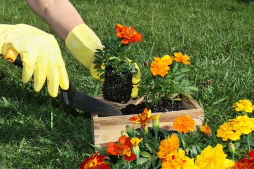 Seasonal garden maintenance in Thamesmead
