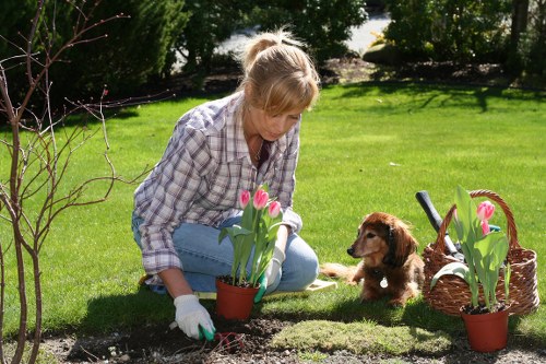 Residents participating in a sustainable gardening workshop