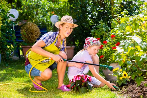 Garden clearance process with professionals